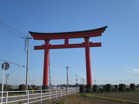 小泉稲荷神社（こいずみいなりじんじゃ）画像