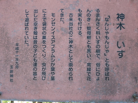 玉前神社(たまさきじんじゃ)