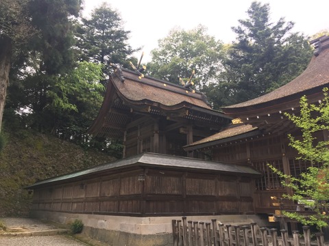 【因幡国一宮】宇倍神社（うべじんじゃ）画像