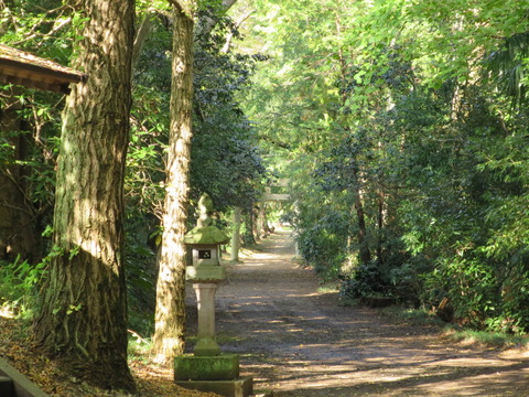 式内社・子安神社(こやすじんじゃ)画像