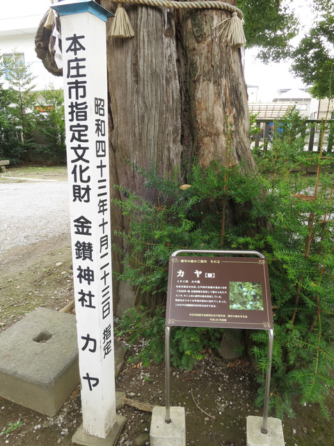 金鑚神社(かなさなじんじゃ)画像