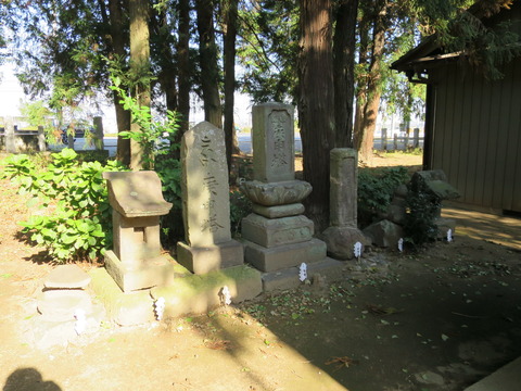 上野国五宮・大國神社(おおくにじんじゃ)画像