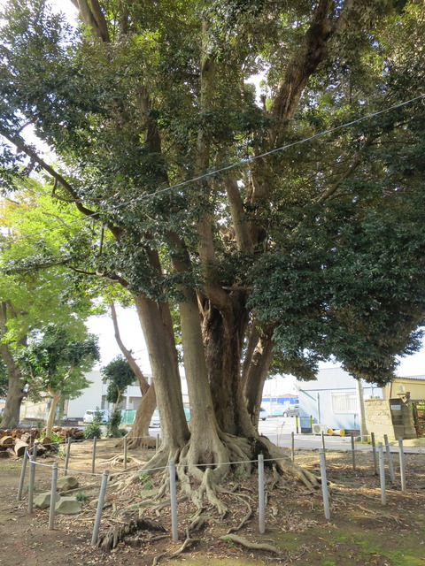 式内社・阿彌神社（あみじんじゃ）画像