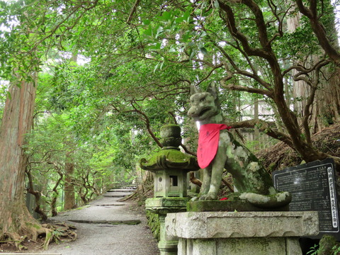 三峯神社(みつみねじんじゃ)画像