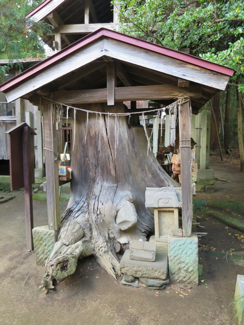 式内社・胎安神社(たやすじんじゃ)画像