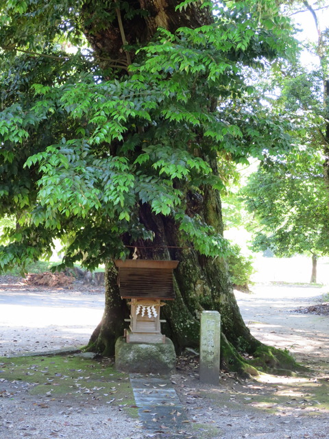 式内社・稲田神社(いなだじんじゃ)画像