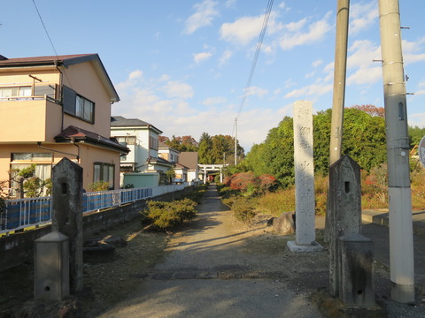 式内社・火雷神社(からいじんじゃ・ほのいかづちじんじゃ)画像