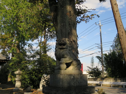 飯玉神社(いいだまじんじゃ)画像