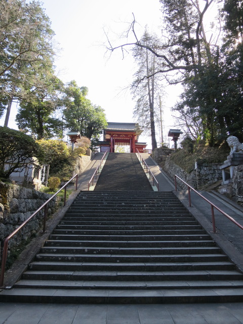 一之宮貫前神社（いちのみやぬきさきじんじゃ）