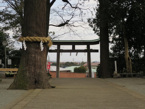 【相模国三宮】比々多神社（ひびたじんじゃ）