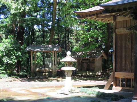 式内社・大井神社(おおいじんじゃ)画像