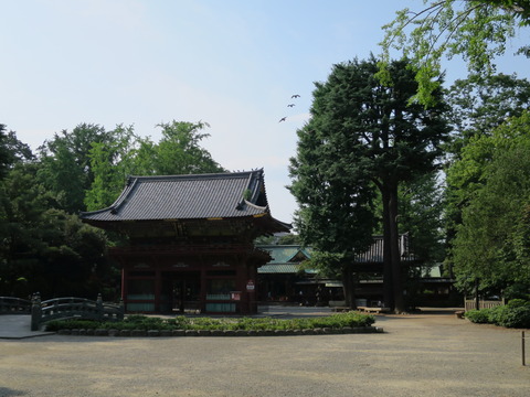 根津神社（ねづじんじゃ）画像