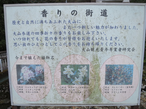 式内社・大山阿夫利神社(おおやまあふりじんじゃ)