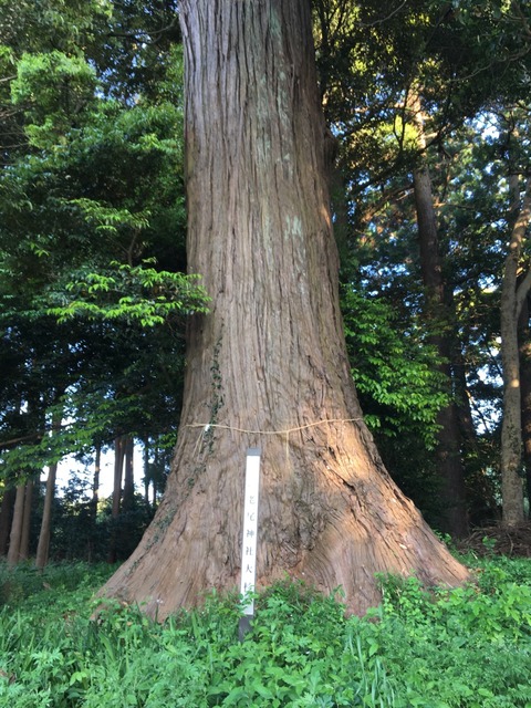 式内社・老尾神社(おいおじんじゃ)画像