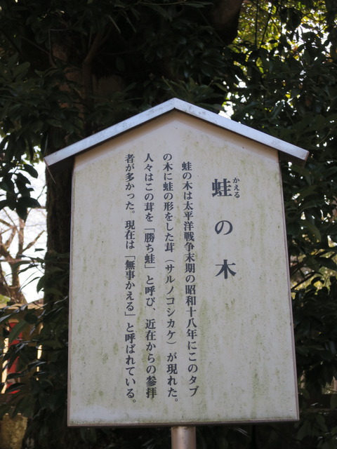 一之宮貫前神社（いちのみやぬきさきじんじゃ）