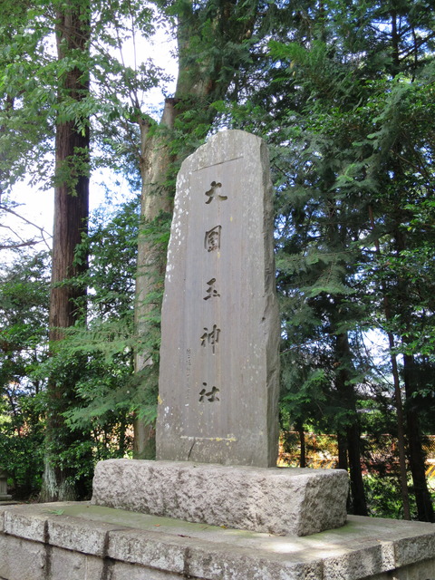 式内社・大國玉神社(おおくにたまじんじゃ)画像