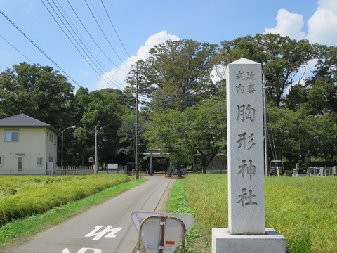 式内社・胸形神社（むなかたじんじゃ）画像