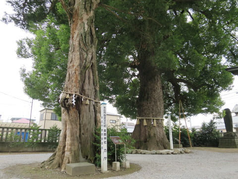 金鑚神社(かなさなじんじゃ)画像