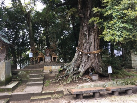 式内社・揖夜神社（いやじんじゃ）画像