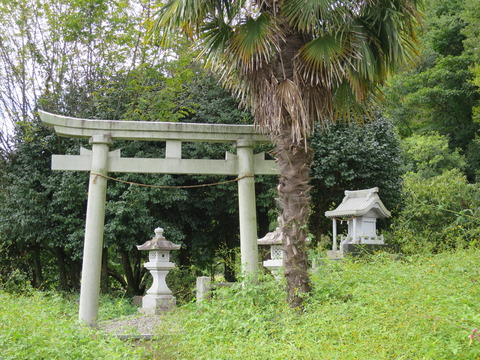 下野国三宮・村檜神社(むらひじんじゃ)画像