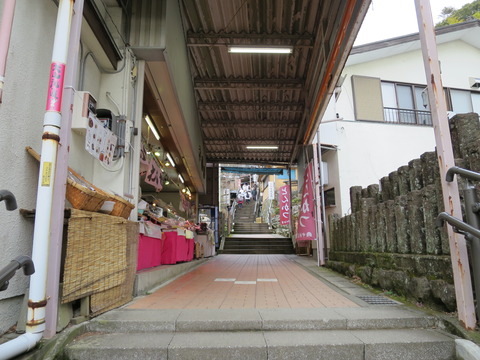 式内社・大山阿夫利神社(おおやまあふりじんじゃ)