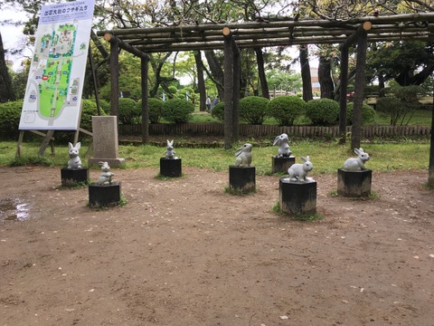 【出雲国一宮】出雲大社(いずもおおやしろ)画像
