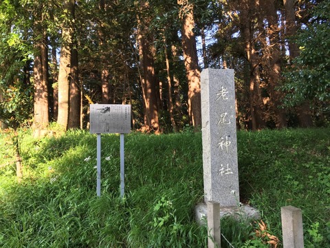 式内社・老尾神社(おいおじんじゃ)画像
