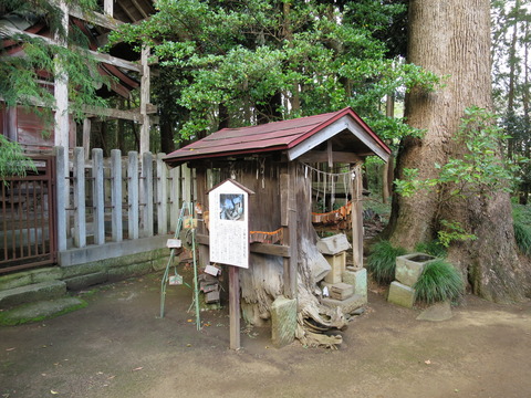 式内社・胎安神社(たやすじんじゃ)画像