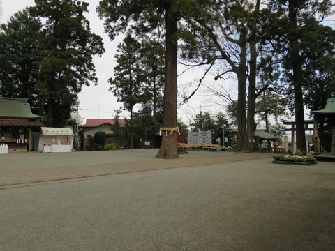 【相模国三宮】比々多神社（ひびたじんじゃ）