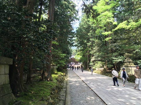 【越後国一宮】彌彦神社(やひこじんじゃ)画像