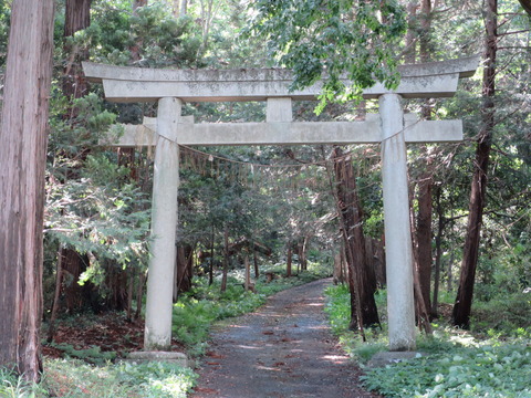 式内社・佐志能神社(さしのじんじゃ・染谷)画像