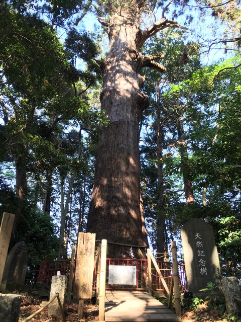 式内社・麻賀多神社（まかたじんじゃ）台方社画像