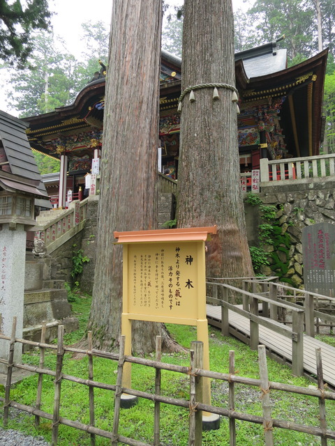 三峯神社(みつみねじんじゃ)画像