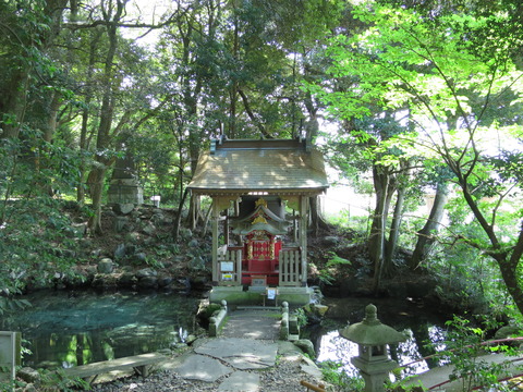 式内社・泉神社（いずみじんじゃ）画像