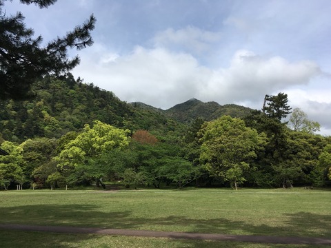 【出雲国一宮】出雲大社(いずもおおやしろ)画像