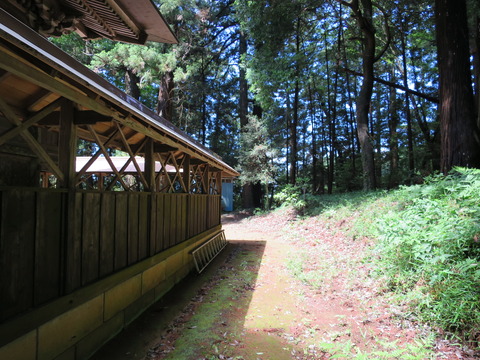 式内社・大井神社(おおいじんじゃ)画像