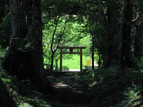 式内社・大井神社(おおいじんじゃ)画像