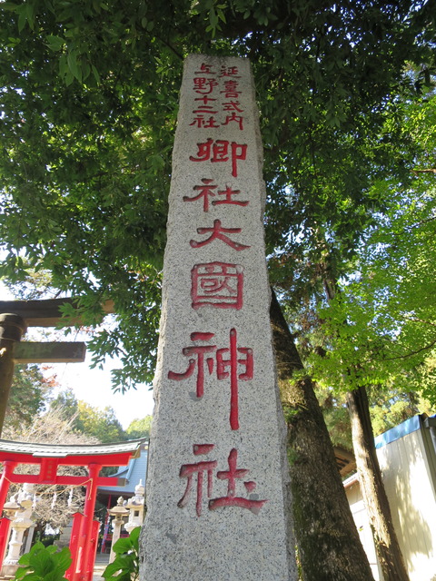 上野国五宮・大國神社(おおくにじんじゃ)画像