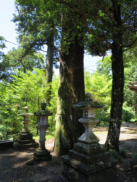 式内社・稲田神社(いなだじんじゃ)画像
