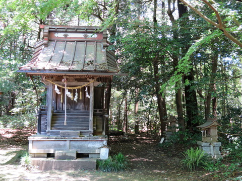 式内社・櫻川磯部稲村神社（さくらがわいそべいなむらじんじゃ）画像