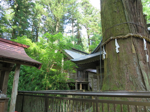 式内社・近津神社(ちかつじんじゃ)画像