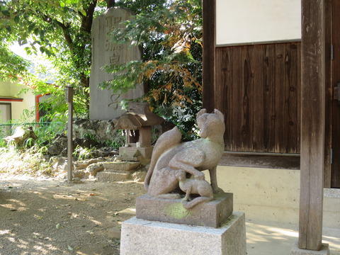 飯玉神社(いいだまじんじゃ)画像