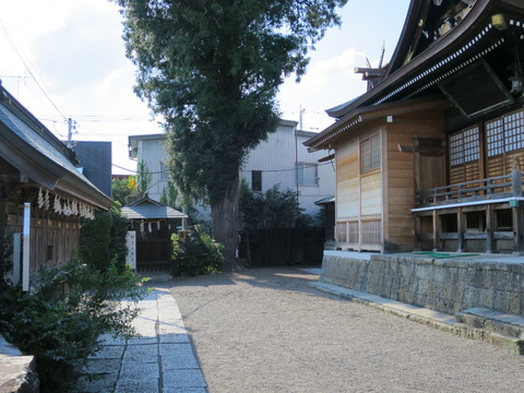 式内社・健田須賀神社(たけだすがじんじゃ)画像