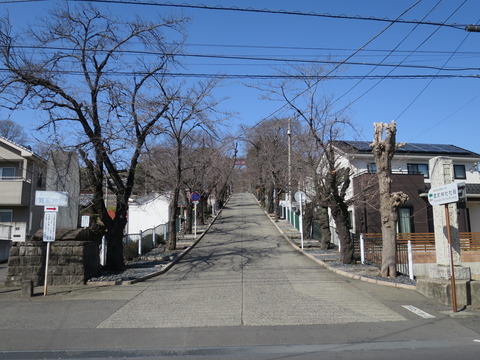 一之宮貫前神社（いちのみやぬきさきじんじゃ）