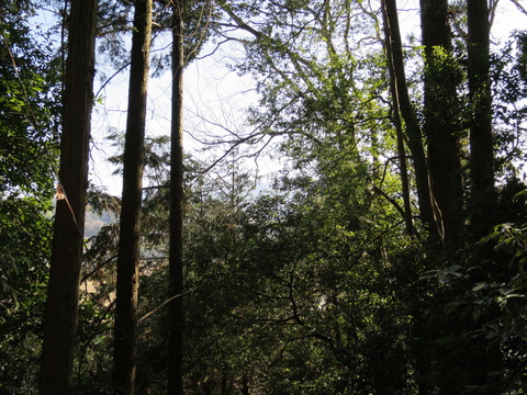 宇芸神社（うげじんじゃ）