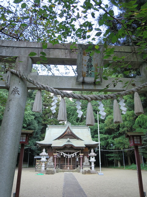 式内社・安房神社(あわじんじゃ)画像
