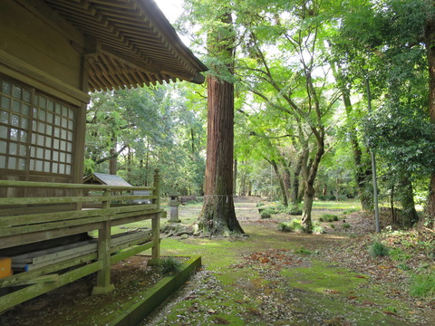 式内社・楯縫神社（たてぬいじんじゃ）画像