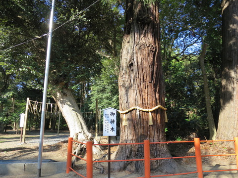 息栖神社(いきすじんじゃ)画像