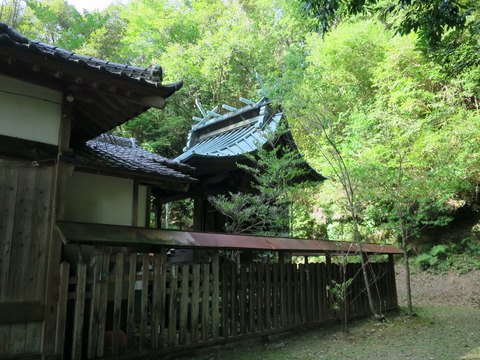 式内社・天志良波神社（あめのしらはのじんじゃ）画像