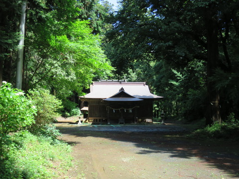 式内社・大井神社(おおいじんじゃ)画像